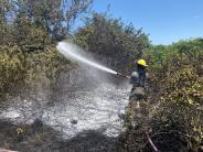 Firefighter spraying foam on brush fire